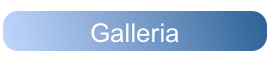 Galleria